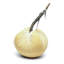 Husk Silk Velvet Pumpkin-226449588