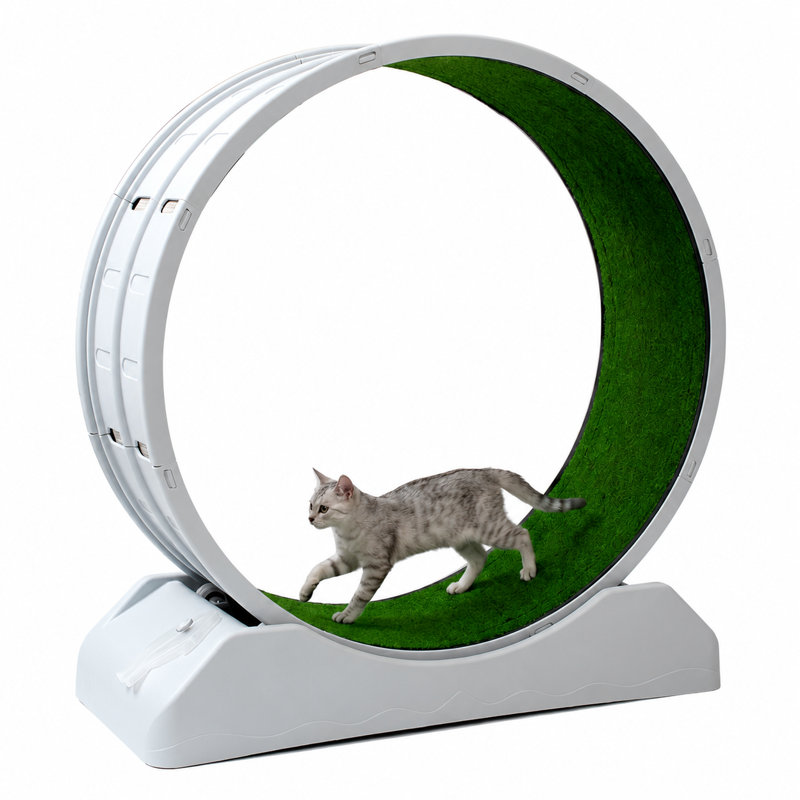 Roue d'exercice pour chat 48 po XL