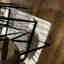Customer photo 3 of 3