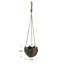 Cidni Hanging Planter