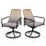 Outdoor Swivel Dining Chairs With Cushion (Set Of 2)