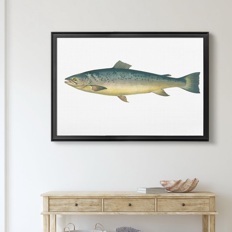 «Small Small Antique Fish V», reproduction d'art graphique sur toile, H 26,5 po x l 36,5 po x P 1,5 po, Noir