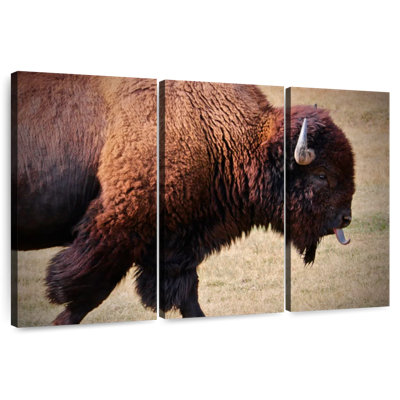 Brampt Tongue Wagging Bison