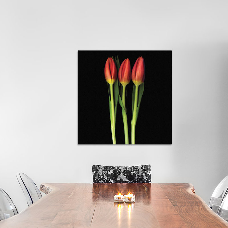 Tulipe trinité, reproduction de photo sur toile tendue, H 26 po x l 26 po x P 1,5 po, Toile tendue, Pas de tapis