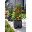 Jardinière avec treillis - Tour de jardin verticale pour patio ou balcon - Bac à légumes surélevé pour tomates, poivrons, herbes et plus - Ensemble de jardin d'extérieur peu encombrant