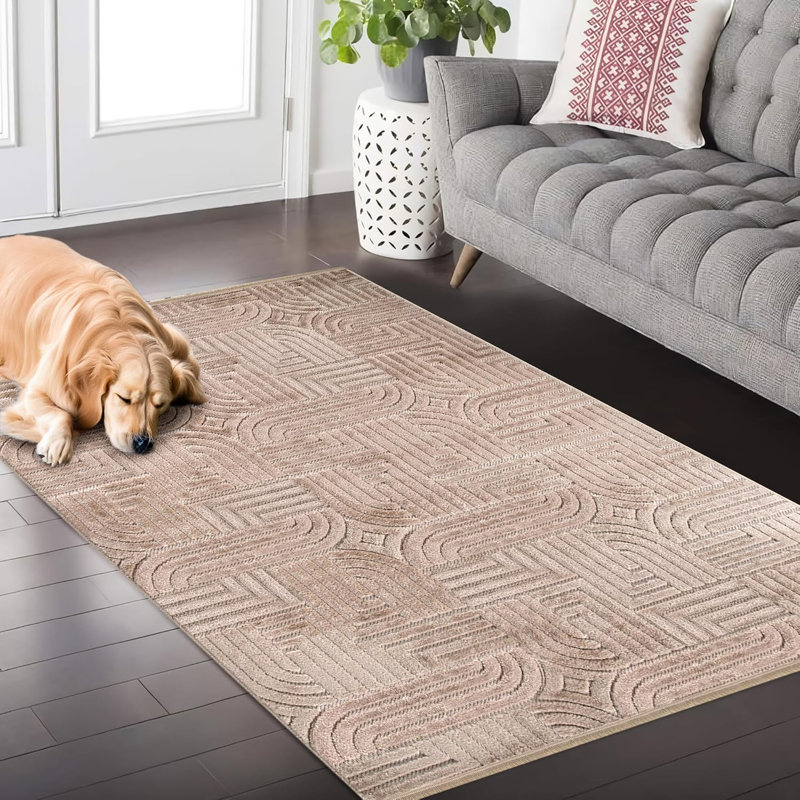 Soft Area Rug for Bedroom Floor Mats Medium Pile Entryway Rugs Textured Polypropylene Carpet TR002, Rectangle 80 x 150 cm 