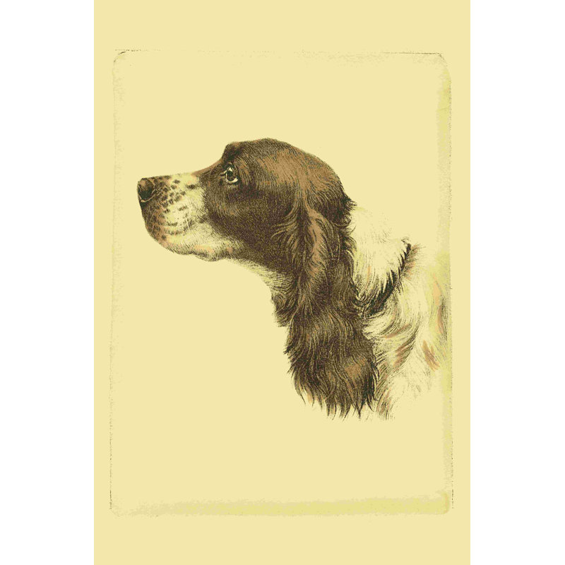 Épagneul cocker de Danchin imprimé (ST), H 18 po x l 12 po