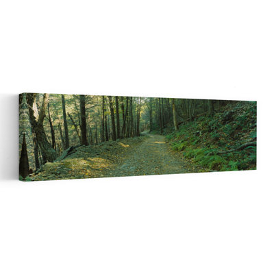 Trees In A National Park Shenandoah National Park Virginia USA 1 Piece Wrapped Canvas Panoramic Wall Art
