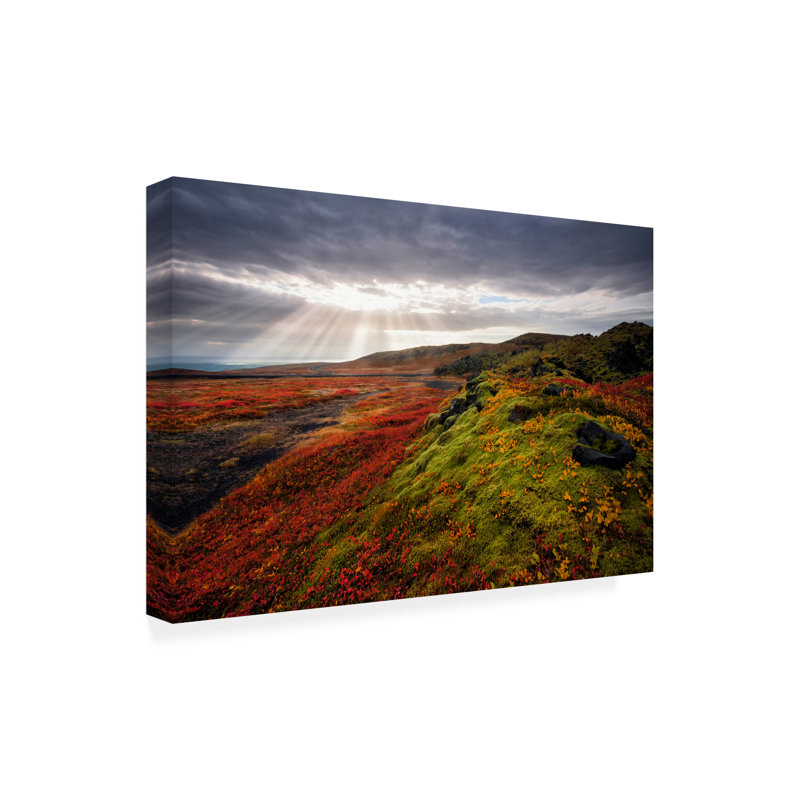 Œuvre d'art sur toile, Bololog, H 16 po x l 24 po