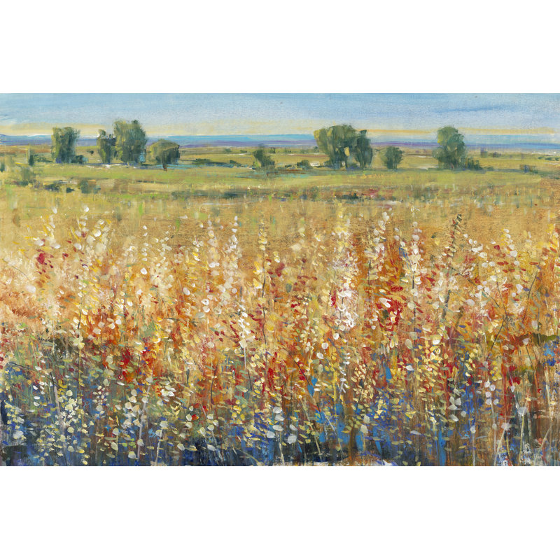 Gold And Red Field II by Timothy O' Toole - No Frame Painting on Canvas, 30cm H x 46cm W x 3.8cm D
