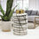 Elements Ceramic Ginger Jar
