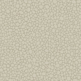 Landscape Plains Pebble Stone Wallpaper Roll