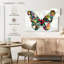 Couleurs de papillon-107671712