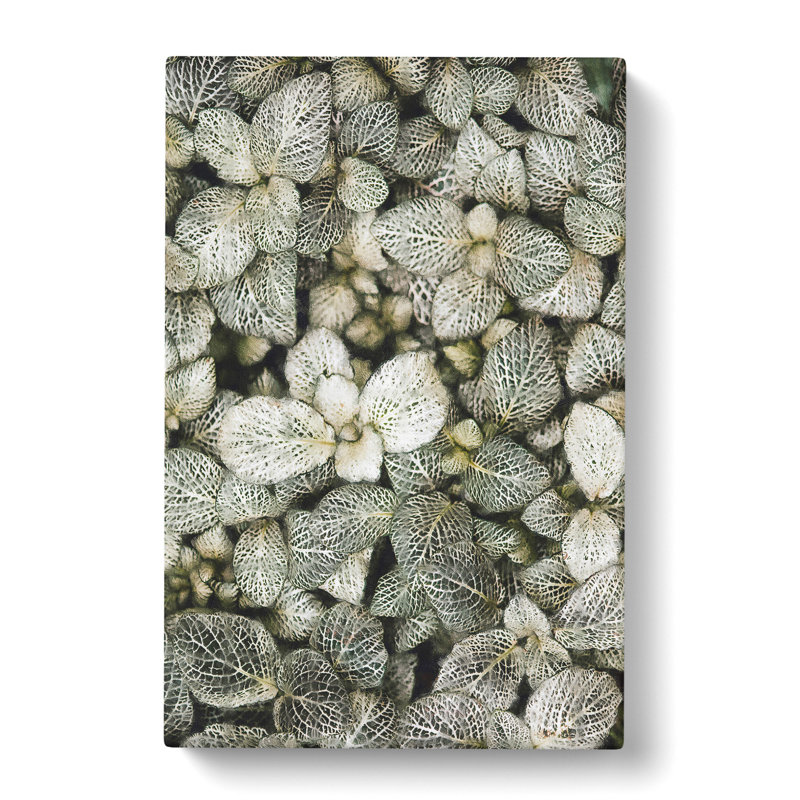 Plant Leaves Abstract - Wrapped Canvas Print, 60cm H x 40cm W x 3cm D
