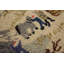 Petit tapis crocheté antique