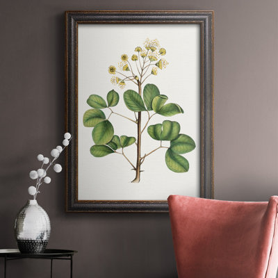 " Foliage & Blooms IV "
