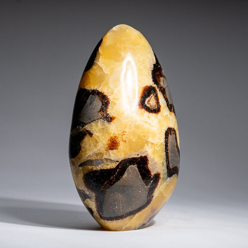 Polished Septarian Freeform from Madagascar (2.7 Lbs)