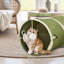 Tunnel pliable pour chat en forme de cactus-1675654945