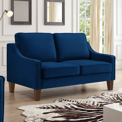 Velmira 51" 2-Seater Velvet Loveseat with Spring Seat Cushions | Solid Rubberwood Legs & Removable Covers, Compact Sofa for Living Room, Bedroom & Apartment