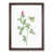 Walnut Framed selected