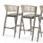 Lucent Upholstered Counter Stool with Metal Frame
