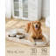 Anti-Skid Pet Bowl-114642038