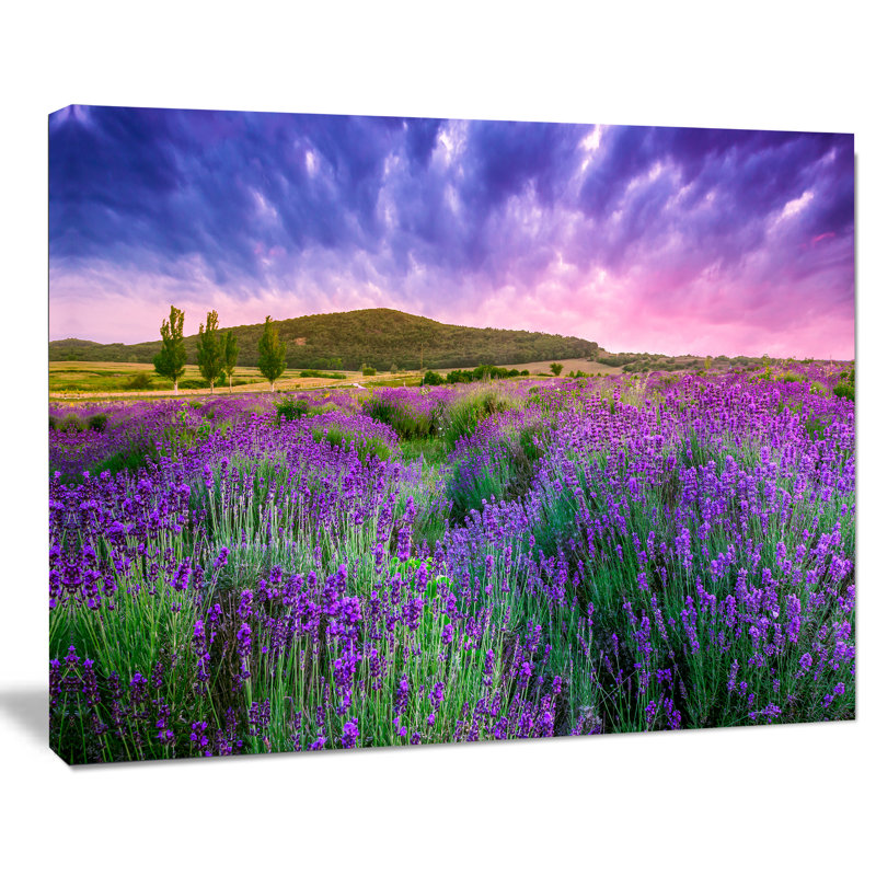 «Summer Lavender Field in Tihany Modern Landscape», reproduction de photo sur toile, H 28 po x l 60 po x P 1,5 po