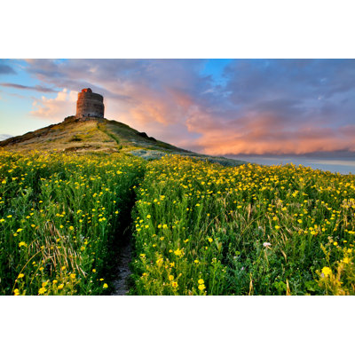 Spring Flower Field by Kikkerdirk - Wrapped Canvas Print