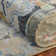 Johannes Hand Knotted Indoor Rug