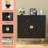 Accent Cabinet-2020081941