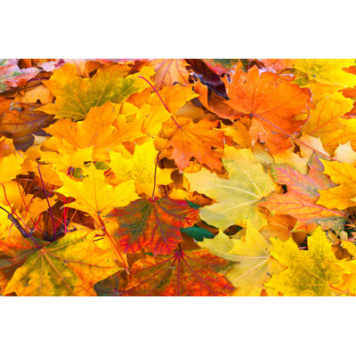 Bright And Colourful Background Of Fallen Autumn Leaves by Loraliu - Wrapped Canvas Print