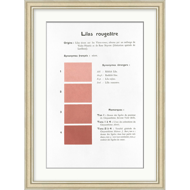 Pink 7 Print by Danielle Rollins