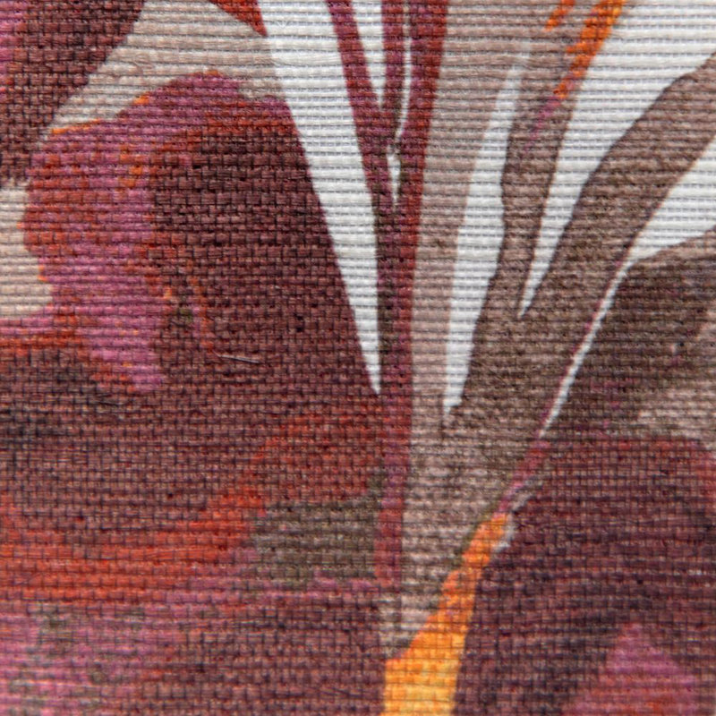 Caspia Wp - Amsonia, Mulberry