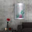 «Cactus Summer» par Rachel Nieman-988427030
