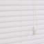 Blackout Horizontal/Venetian Blind-1194878631
