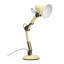 Stephene Metal Desk Lamp-1677142603