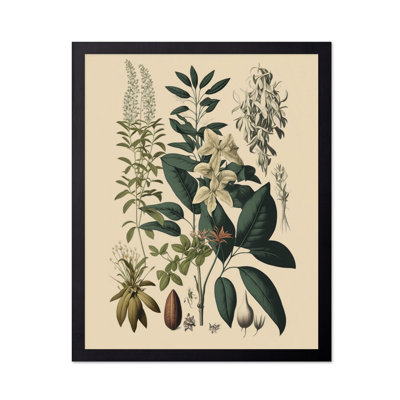 Fleur sauvage n ° 1