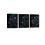 3 Piece Wrapped Canvas Painting