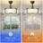 19'' Modern Ceiling Fan With Light-1262833568