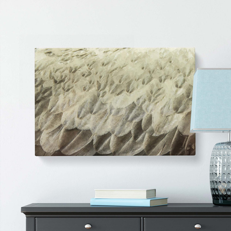 Feathers In Abstract - Wrapped Canvas, 40cm H x 60cm W x 3cm D