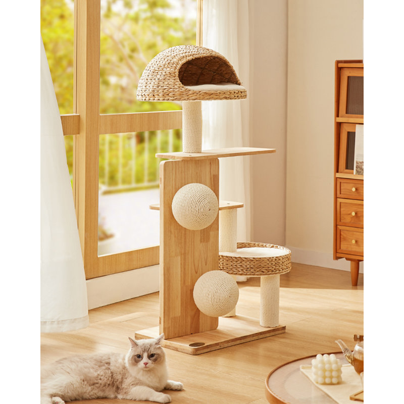 Structure d'escalade pour chat domestique