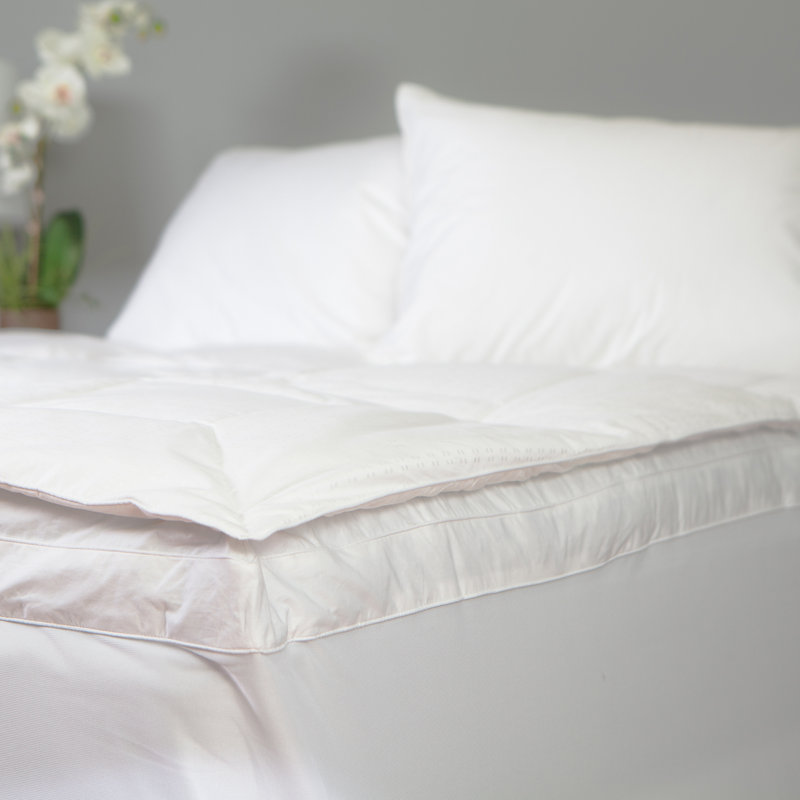 Burlwood 2'' Down Mattress Topper, Twin