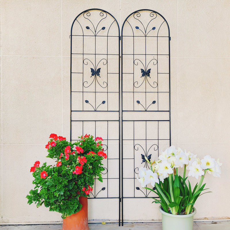 Treillis de jardin polyvalent et antirouille pour diverses plantes grimpantes, Noir