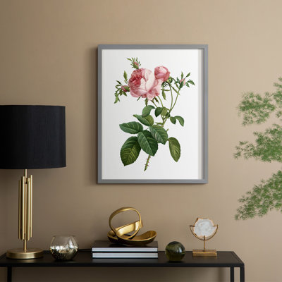 Botanical Beauty IV Framed Print - Solid Wood