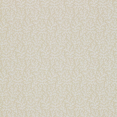 Sea Coral Wallpaper