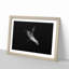 Sea Lion - Picture Frame Painting Print-55613966-55613970