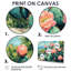 Cactus Garden In Bloom II - cactus, art mural-1926301016-1926301017-1926301021