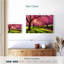 Jardin de fleurs de cerisier Harnek-107681054