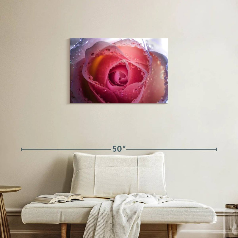 Rose brumeux Harnek, H 20 po x l 30 po