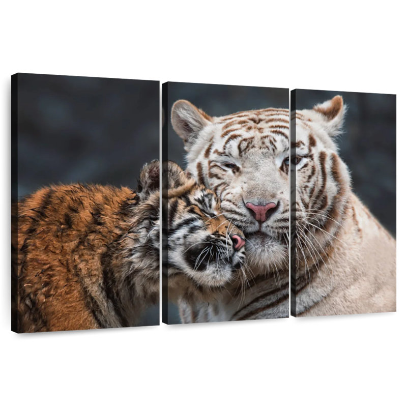 Brampt White Tiger And Kitten, 28" H x 45" W